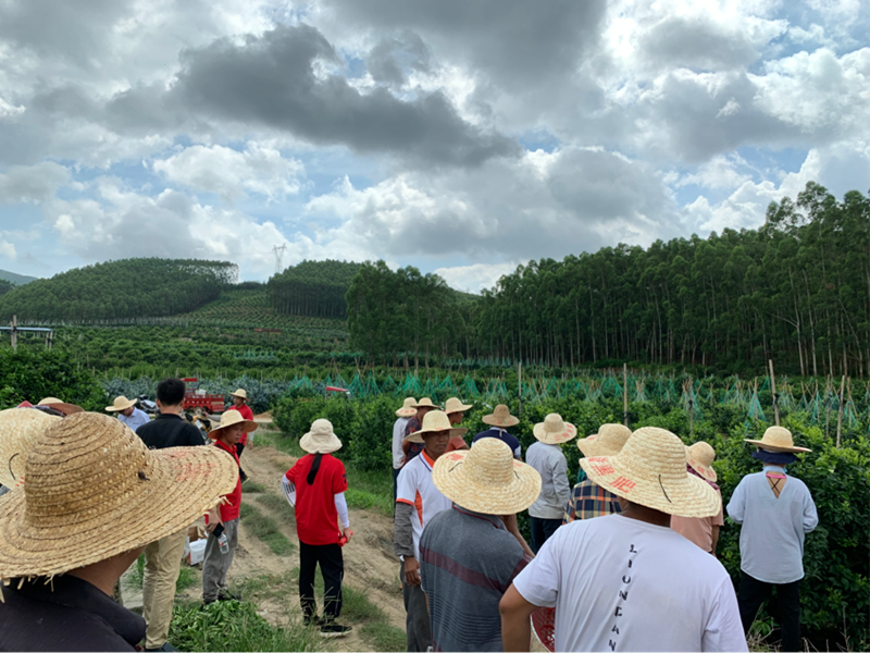 愛普科技經(jīng)銷產(chǎn)品助力武鳴柑橘種植