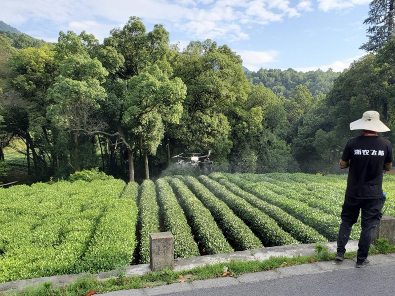 浙農(nóng)飛防成功中標西湖區(qū)茶園統(tǒng)防統(tǒng)治項目