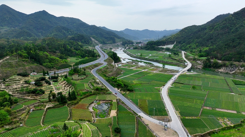 浙農浙貝母、杭白菊基地通過中藥材GAP延伸檢查